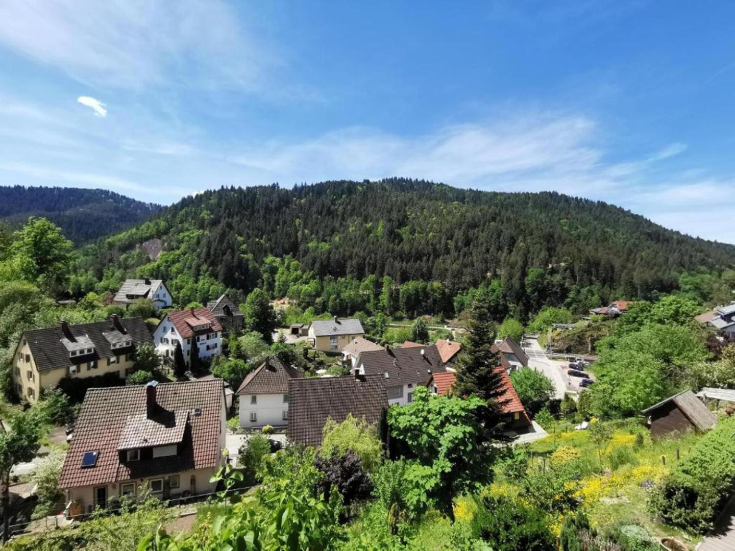 הורנברג Ferienwohnung Am Rubersbach מראה חיצוני תמונה